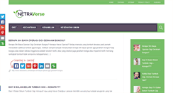 Desktop Screenshot of netraverse.com