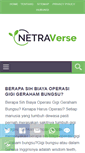 Mobile Screenshot of netraverse.com