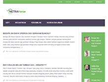 Tablet Screenshot of netraverse.com
